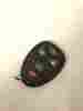 20869963 Gm Buick Enclave Oem Remote Keyless Fob