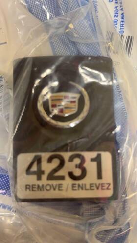 20984231 Cadillac Key Transmitter Fob Oem New 20984231 Cadillac Key Transmitter Fob Oem New