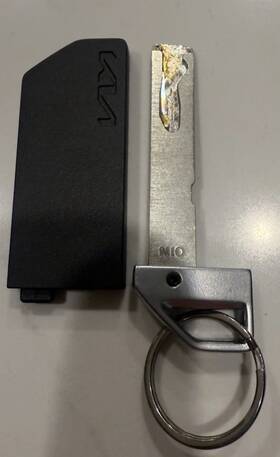 81995-s9500 Hyundai Oem Factory Kia Smart Key Emergency Insert Cover Sleeve Only No Blade