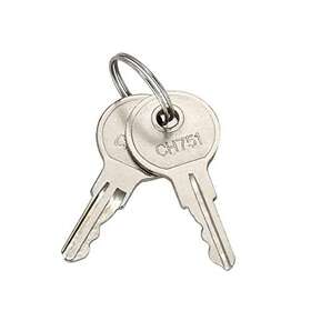 751ch Notonparts 751977231613 2 Pcs Ch751 Controller Door Key Universal Keys Compatible With T-handle