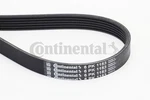 6PK1153 Continental Ctam V-ribbed Belt ,bmw,citro N,dacia,ds,fiat,ford,in. Fixed Price $15.85.