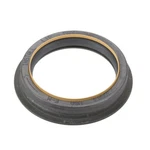 National 39803 Crankshaft Seal For 89-09 Dodge 2500 3500 D250 D350 W250 W350. Fixed Price $39.99.